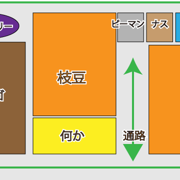 枝豆の種を発芽させる方法 枝豆栽培日記 ２年目の挑戦 Part1 庭と子どもと俺の嫁 と犬