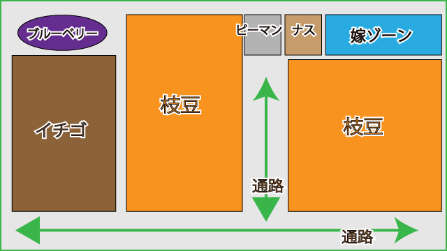 枝豆の種を発芽させる方法 枝豆栽培日記 ２年目の挑戦 Part1 庭と子どもと俺の嫁 と犬
