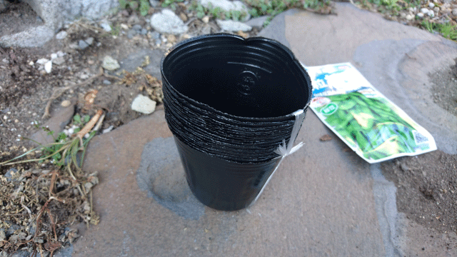 枝豆の種を発芽させる方法 枝豆栽培日記 ２年目の挑戦 Part1 庭と子どもと俺の嫁 と犬