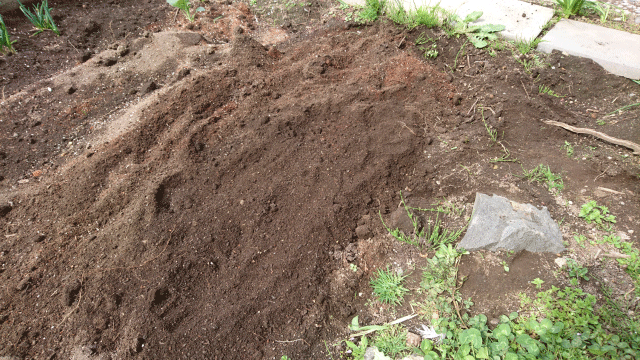 枝豆の種を発芽させる方法 枝豆栽培日記 ２年目の挑戦 Part2 庭と子どもと俺の嫁 と犬